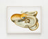 light wood frame vintage velodona octopus illustration print wall art